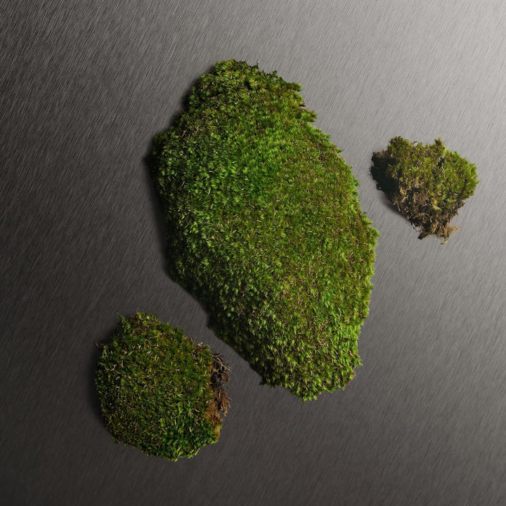 CALVIN KLEIN Eternity - after Shave for Men - Woody-Aromatic Fragrance - Nourishes and Cools after Shaving - 100 Ml