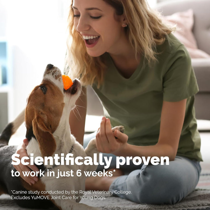 Senior Dog Joint Supplement, Higher Strength for Joint Care, Essential Hip & Joint Support for Older Dogs with Glucosamine, Chondroitin, Green Lipped Mussel, Aged 8+, 120 Tablets