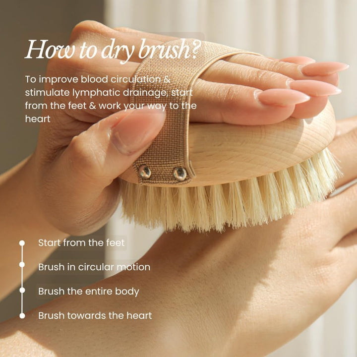 Dry Body Brush for Lymphatic Drainage - Improve Circulation W/Gentle Exfoliation for Soft Skin - Ergonomically Designed W/Elastic Strap - Soft but Firm Natural Boar Bristles