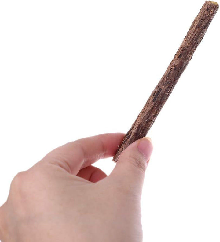 5 Pcs L Polygonum Stick for Cleaning Teeth Molar Ks Silvervine Chew Dental Care Polygonum Multiflorum