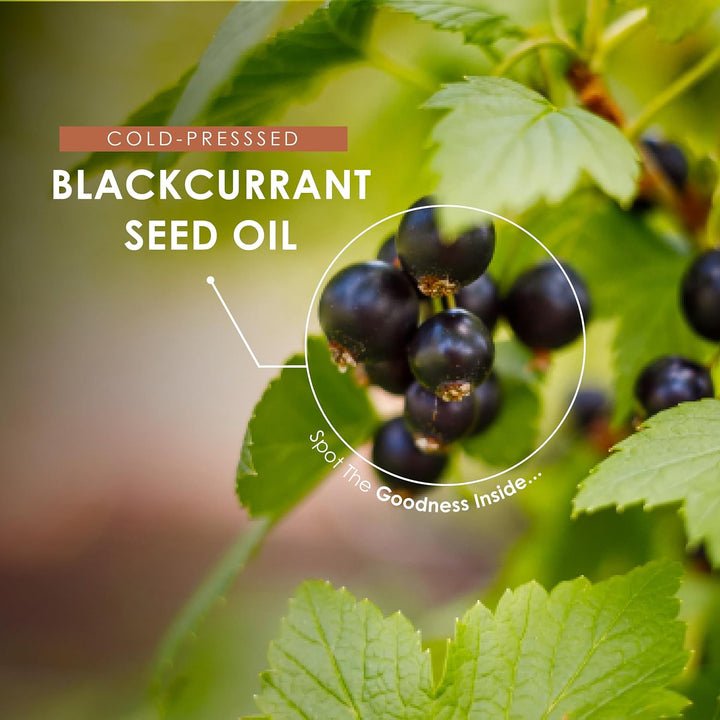 Blackcurrant Seed Oil 1000Mg – 90 Softgels – 105Mg GLA Omega-6 Essential Fatty Acid from Cold-Presssed Blackcurrant Oil – Resealable and Recyclable Pouch by