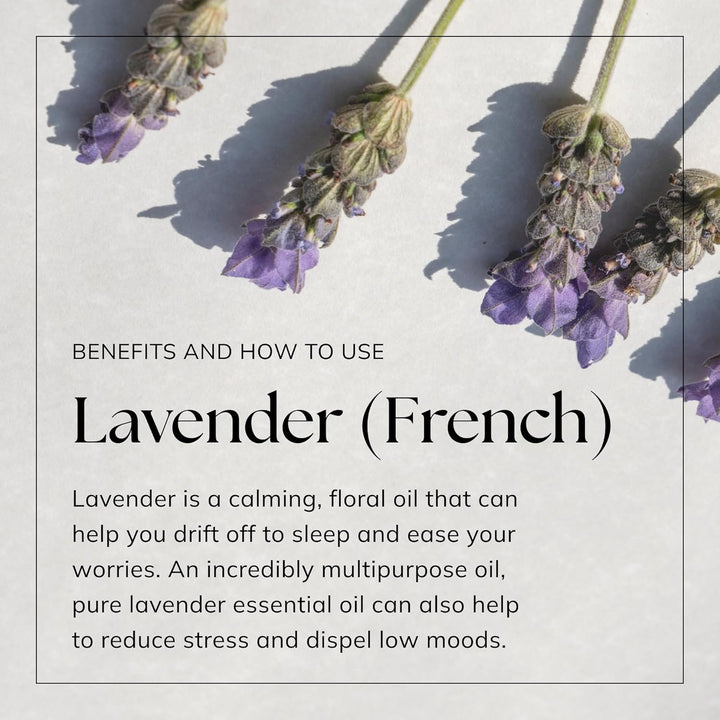 French Lavender Essential Oil - 10Ml | 100% Pure Natural Oils | Lavender Oil for Sleep, Aromatherapy, Diffusers for Home | Vegan & UK Made