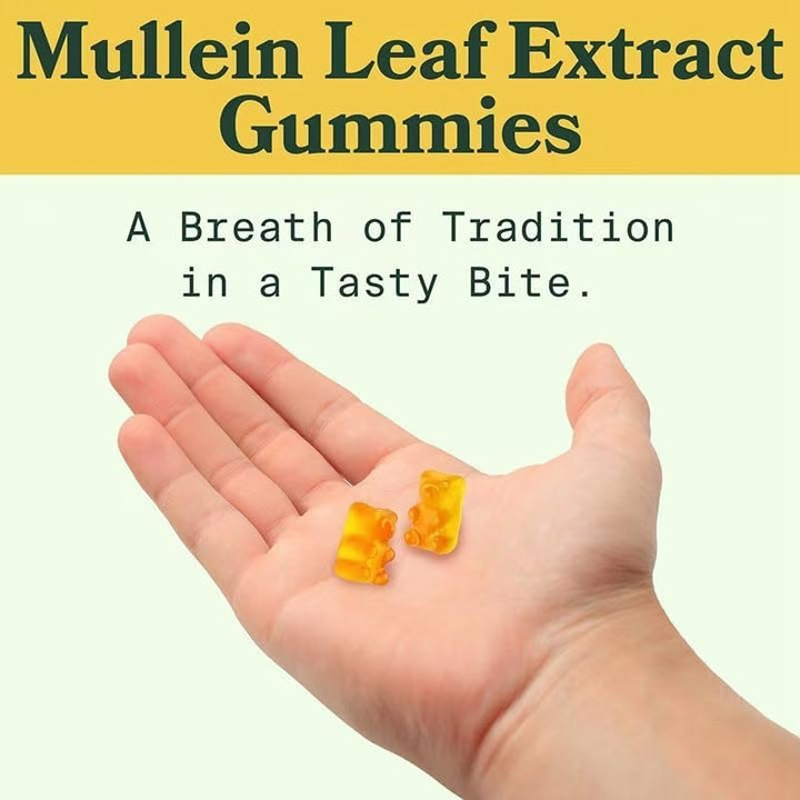 60Pcs Mullein Gummies,Mullein Leaf Extract for Lungs,2000Mg Mullein Extract for Lung Cleanse,Mullein Gummies for Lungs Health