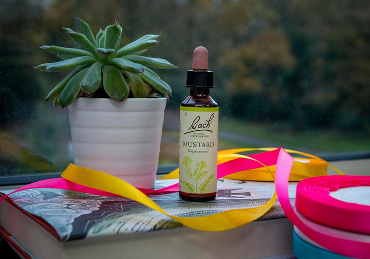 Bach Original Flower Remedies (Mustard) Live the Day, Stay Joyful, Emotional Wellness, Natural Flower Essence, 20Ml