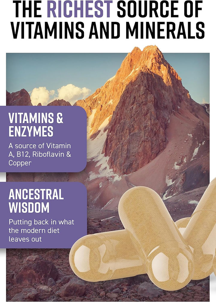 Nose to Tail - 90 Liver Capsules | Wild, Grass Fed Icelandic Lamb Ancestral Inspired Supplements| Raw Freeze-Dried Lamb | No GMO Feeds, Antibiotics or Hormones