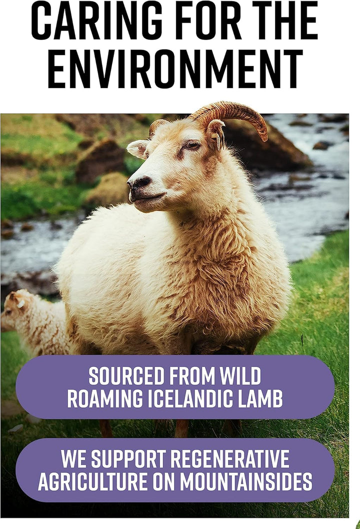 Nose to Tail - 90 Liver Capsules | Wild, Grass Fed Icelandic Lamb Ancestral Inspired Supplements| Raw Freeze-Dried Lamb | No GMO Feeds, Antibiotics or Hormones