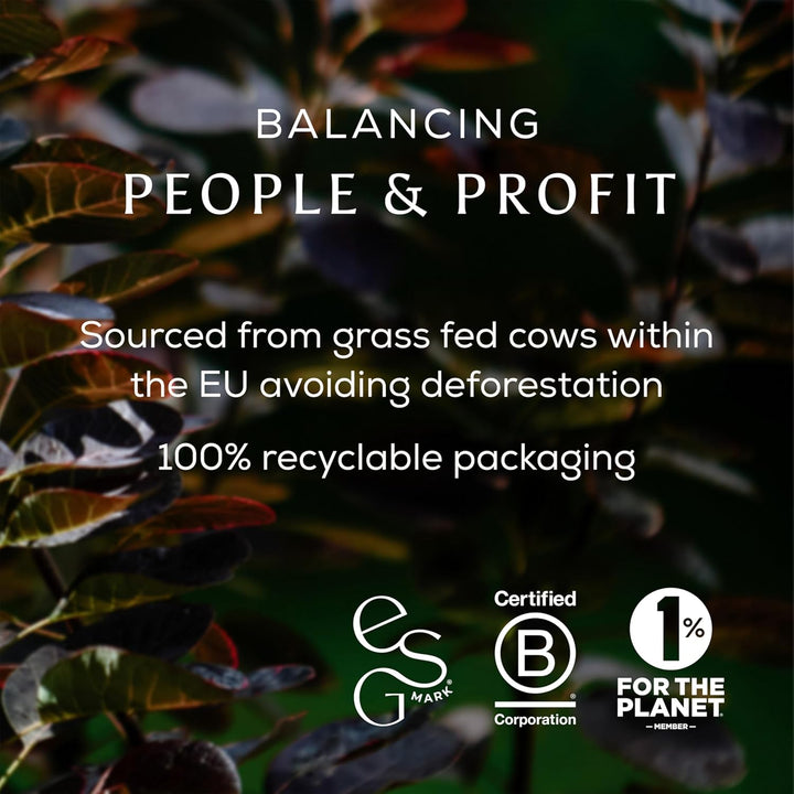 True Collagen 200G - Grass-Fed Bovine Collagen Powder - 100% Hydrolysed Collagen Peptides (Type 1) High Protein Supplements for Women - Fasting, Beauty, Keto - Skin, Hair & Nail Health