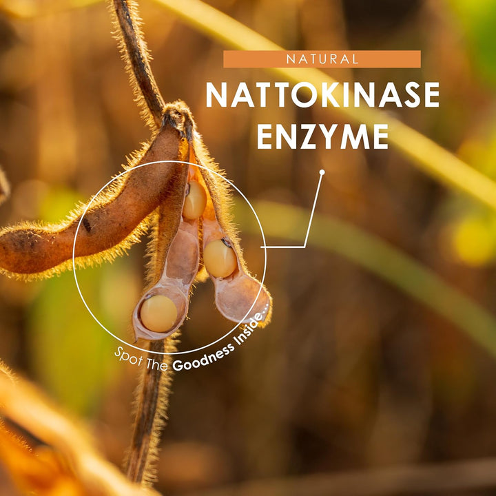 Nattokinase 100Mg (2000 FU) – Made with Bioperine® for Enhanced Abosorption - 90 Vegan Capsules (3 Months Supply) - Resealable and Recyclable Pouch by