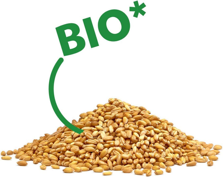 Wheat Bag Microwavable, Unscented/Heat Pack for Stomach and Lower Back/Animal: Fox Luca, Red