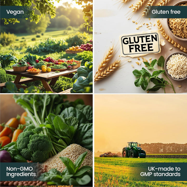 5HTP Tablets - 90 Tablets per Pack | 5HTP High Strength 1000Mg Supplement | One a Day - 3 Months Supply | from Griffonia Seed Extract | Vegan & UK Made