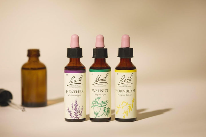 Bach Original Flower Remedies (Walnut) Stand Your Ground, Accept Change, Emotional Wellness, Natural Flower Essence, 20Ml