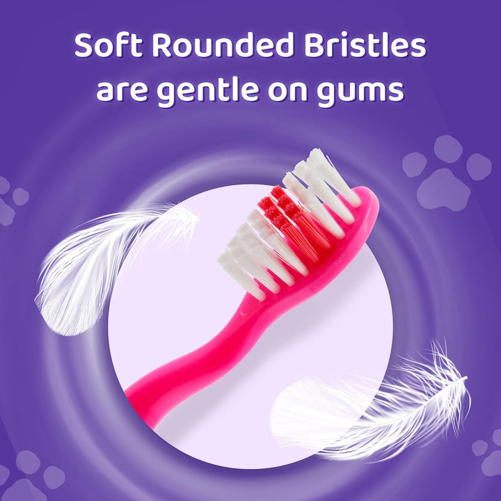 Paw Patrol Skye Little Teeth Toothbrush for Kids with Soft Rounded Bristles, Comfortable Handle Grip and Protection Cap for Children Ages 3+