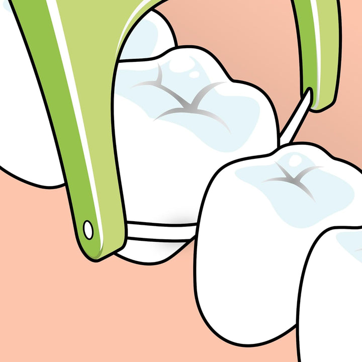 Mini Flosser, 36Pcs, Flossers for Teeth, Efficient Dental Plaque Removal Tool for Easy Cleaning between Teeth, for Narrow Gaps