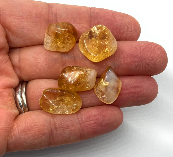 Citrine Mini Crystal Gemstone Tumbled Stones - 10 Pc