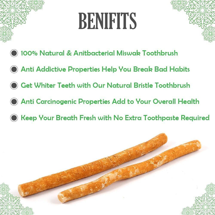 Miswak Sticks for Teeth Miswak Toothbrush Salvadora Persica Sticks El Miswak Sewak Sticks for Teeth Palo De Miswak African Teeth Cleaning Sticks Jamaican Chew Sticks (Pack of 3) مسواك طبيعي