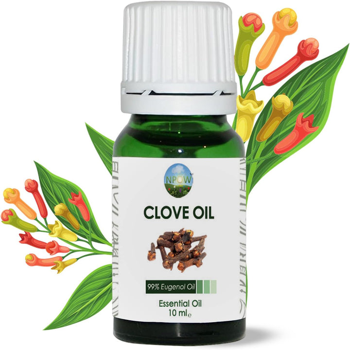 Clove Oil for Toothache Pain Relief for Adult – Oil of Cloves for Toothache Natural Dental Solution, Clove Bud Oils, Cloves Extract for Oral Care, Tooth Pain Relief and Dental Health - 10Ml