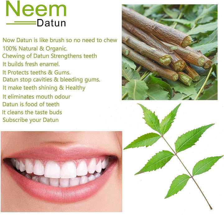 ETHENICINDIAN 10 Chewing Sticks of NEEM DATUN ORAL HERBAL TEETH & TONGUE CLEANER Traditional Teeth Cleaning Twig Prevent Tooth Decay and Gum Toothbrush Chew Sticks Natural Wild Organic Traditional