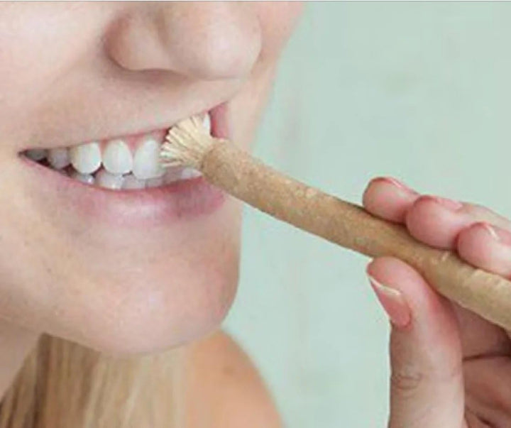 ETHENICINDIAN 10 Chewing Sticks of NEEM DATUN ORAL HERBAL TEETH & TONGUE CLEANER Traditional Teeth Cleaning Twig Prevent Tooth Decay and Gum Toothbrush Chew Sticks Natural Wild Organic Traditional