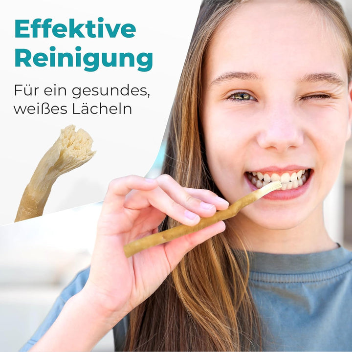 Miswak Toothbrush from  - Siwak SWAK, Traditional Arabian Toothbrush, Wooden Toothbrush, for Natural White Teeth, 5Pcs