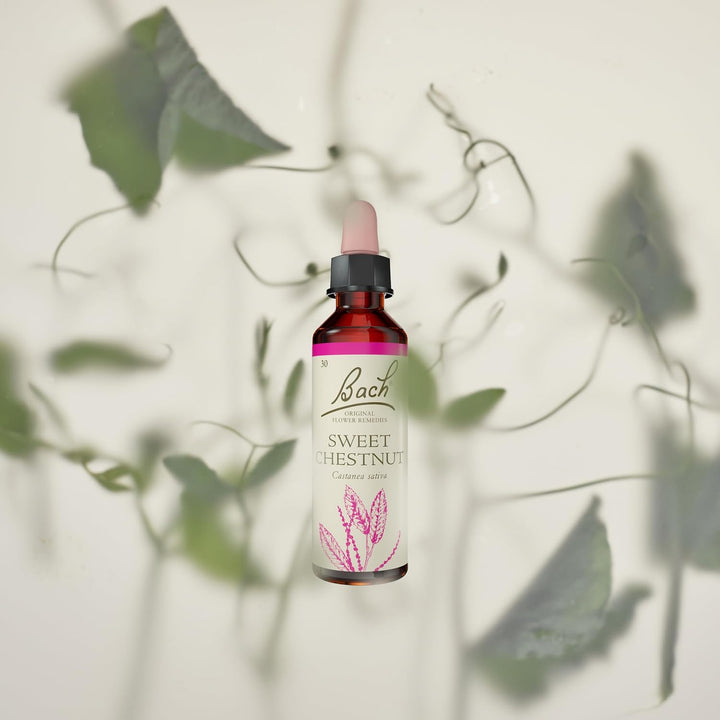 Bach Original Flower Remedies (Sweet Chestnut) Find Joy & Hope, Remain Optimistic, Emotional Wellness, Natural Flower Essence, 20Ml