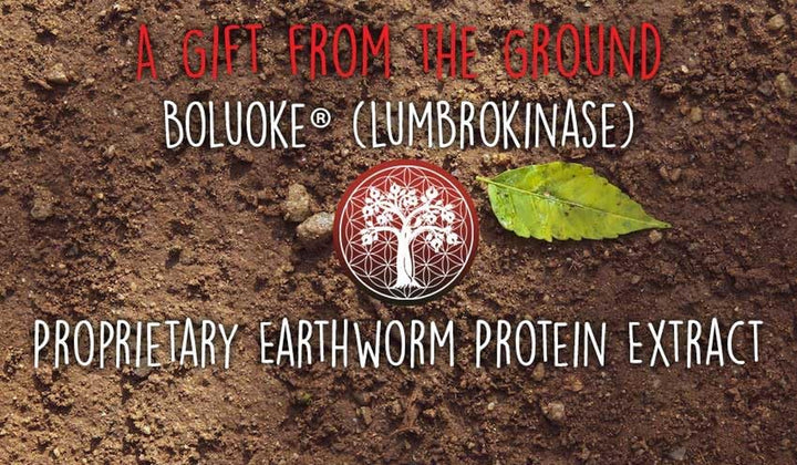 Boluoke (Lumbrokinase) 30 Capsules