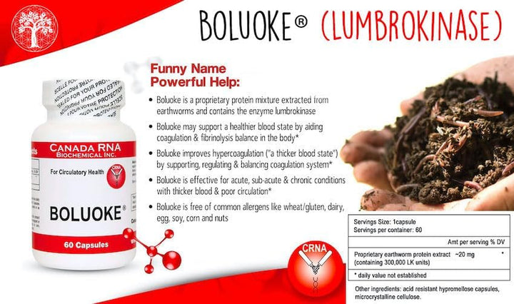 Boluoke (Lumbrokinase) 30 Capsules