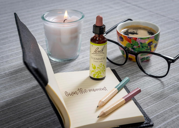 Bach Original Flower Remedies (Clematis) Live the Day, Be Focused, Emotional Wellness, Natural Flower Essence, 20Ml