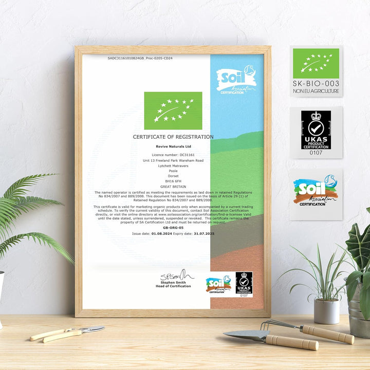 Organic Lutein & Zeaxanthin – 50Mg Lutein & 3Mg Zeaxanthin from Organic Marigold Flower Extract – 90 Vegan Capsules – Resealable and Recyclable Pouch by