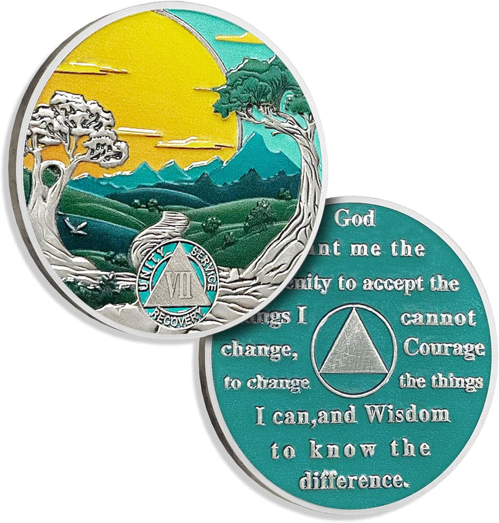 17 Years Sobriety Coin Sun Chips Alcoholics Anonymous Medallion AA Chips and Medallion Sobriety Gifts for Men Women Anniversary Token Recovery Gift Forest Tree Coin
