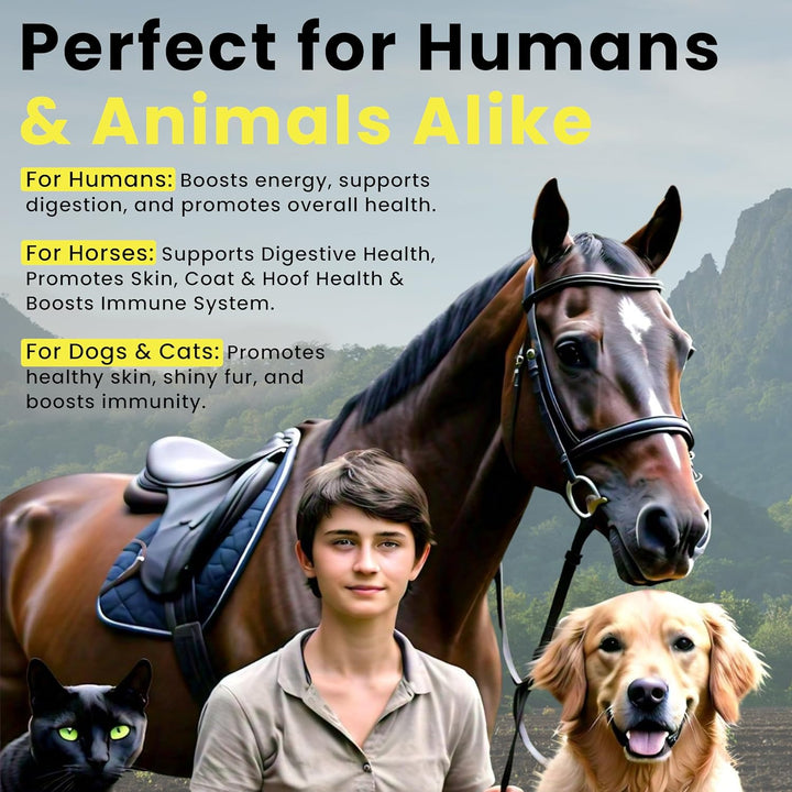 Food PURA 450G Brewers Yeast Powder - Non De Bittered- 100% Natural Source of B Vitamins, Protein & Minerals Supports Immune System, Healthy Skin, Hair & Nails