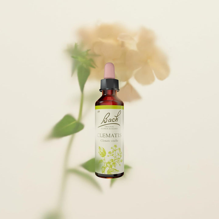 Bach Original Flower Remedies (Clematis) Live the Day, Be Focused, Emotional Wellness, Natural Flower Essence, 20Ml