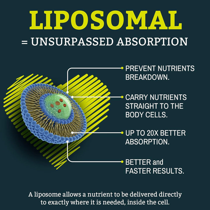 Liposomal Ubiquinol Vegan Coq10 1000 Mg, the Active Form of Coq10, User-Friendly Formula, Easy to Absorb, Designed for Various Lifestyles, 60 Softgels, Pack of 1
