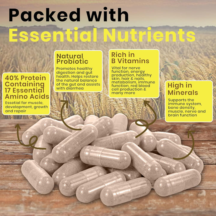 90 X 600Mg Brewers Yeast Capsules 100% Pure & Natural Not Debittered HACCP Certified Manufactured in the UK (90)