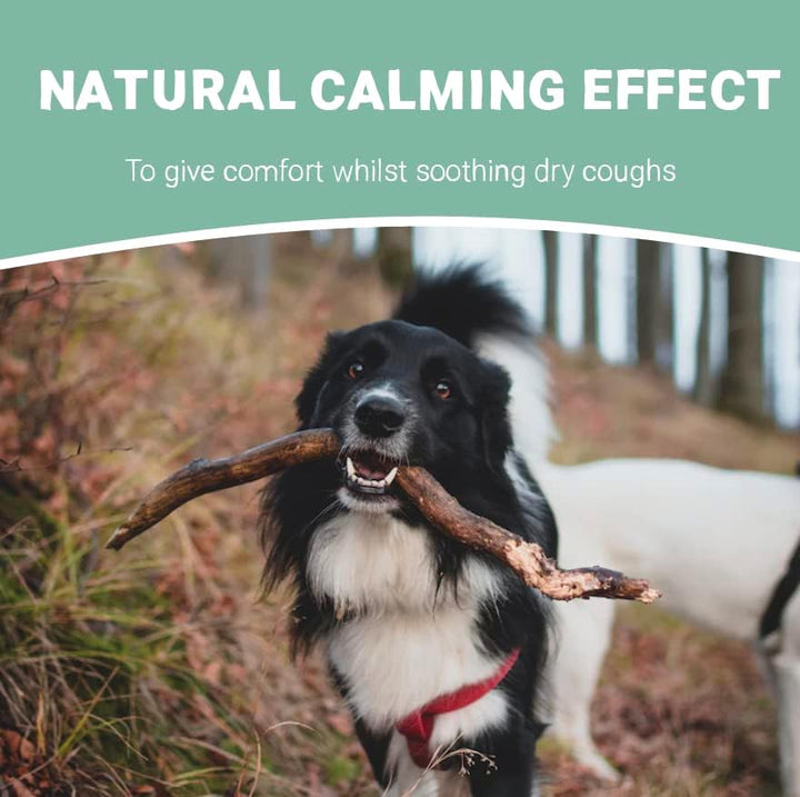 Cough Medicine for Dogs, Cats & Pets 30Ml - 100% Natural Dry Cough Liquid Drops Remedy for Kennel Cough, Respiratory Tract Symptoms, Dry Nose, Sneezing & Barky Hacking