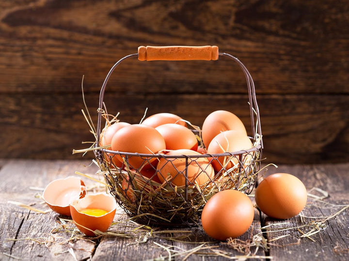 Egg Protein, Egg - Protein, Egg Protein, Pure Chicken Protein 100% Natural, from Soil Husbandry. 3 XL Bags 1500 G Each (4.5 Kg)