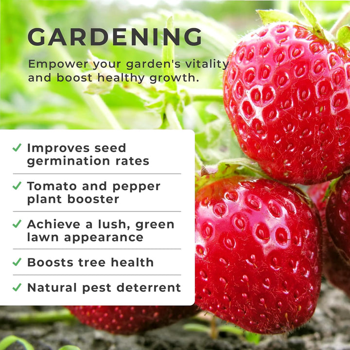 Natural Epsom Salts (1KG Bucket) – Pure Food Grade Magnesium Sulphate Mineral, 100% Natural Salts Mined in Germany - for Health, Detoxification, Muscle Relief, Exfoliating & Gardening