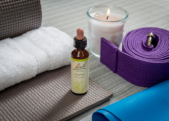 Bach Original Flower Remedies (Olive) Live the Day, Stay Energised, Emotional Wellness, Natural Flower Essence, 20Ml