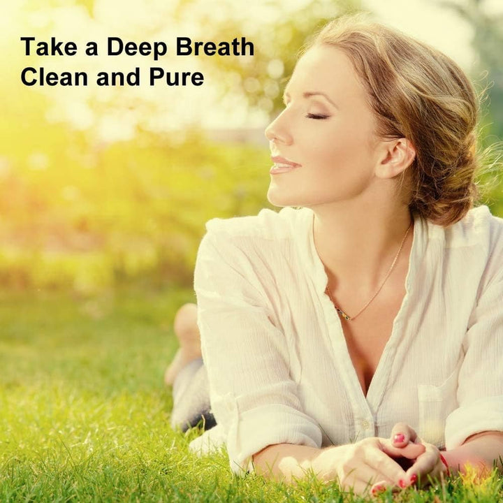 Ultra-Breathable Nasal Filters with 12 Pairs of Replacement Filters(Narrow, Large, 3 Pack)