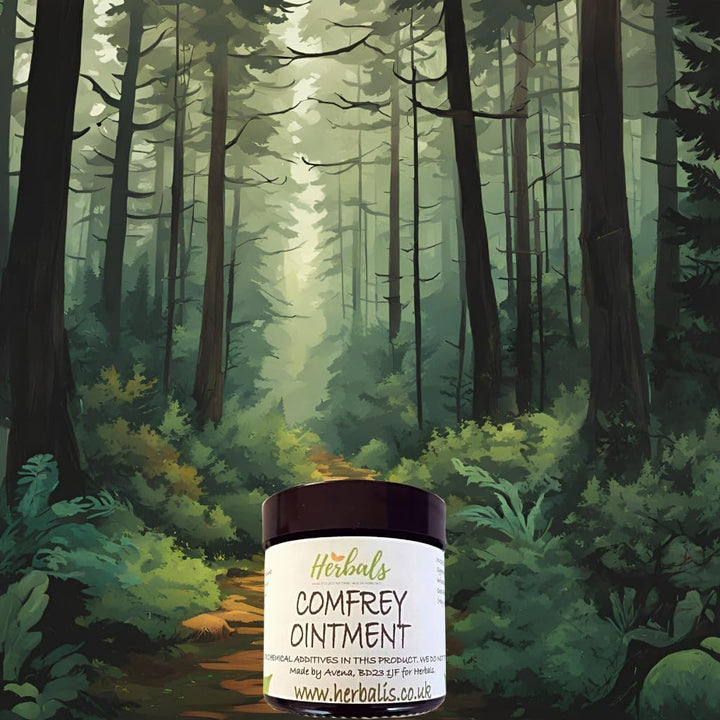 Handmade Comfrey Leaf Salve – Made in North Yorkshire – All-Natural Ingredients: Comfrey Oil, Sunflower Oil, Beeswax, Vitamin E (60Ml)
