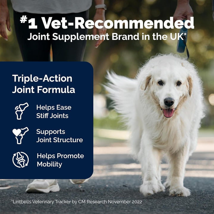 Senior Dog Joint Supplement, Higher Strength for Joint Care, Essential Hip & Joint Support for Older Dogs with Glucosamine, Chondroitin, Green Lipped Mussel, Aged 8+, 120 Tablets