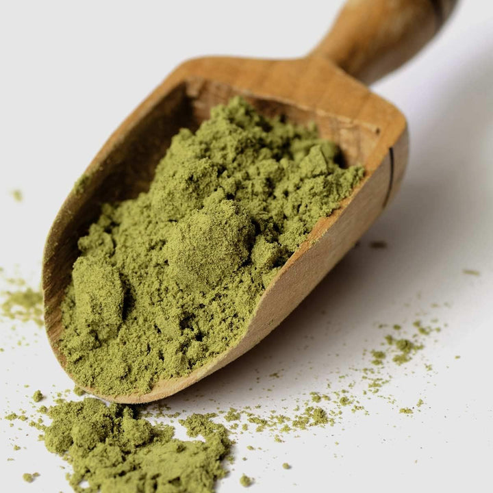 Organic Premium Raw Hemp Protein Powder 500G (36% Protein)