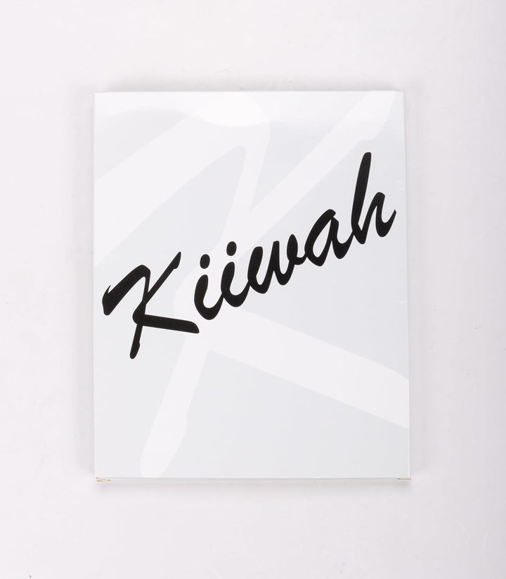 Hair Coloring Highlighting Cap, 2 Hair Disposable Tipping Frosting Cap with 2 Hook and Hair Coloring Brush for Dyeing Hair Salon Home Use