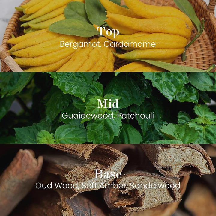 Natural Soy Candle Non Toxic Oud Wood Scented Candles for Home Small Jar Candles 150G 30 Hours Burn Time Minimalist Aromatherapy Candle Gift for Relaxation, Stress Relief,Mediation