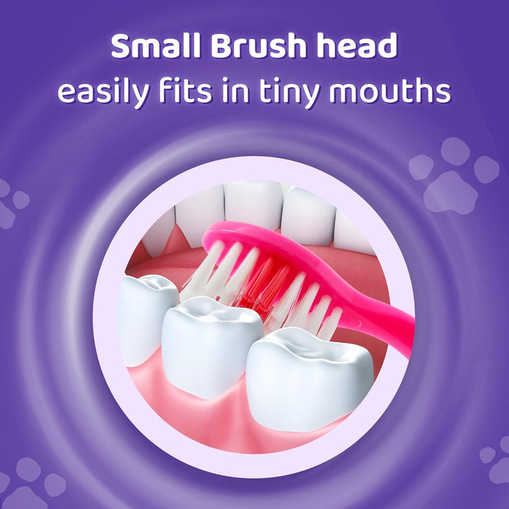 Paw Patrol Skye Little Teeth Toothbrush for Kids with Soft Rounded Bristles, Comfortable Handle Grip and Protection Cap for Children Ages 3+