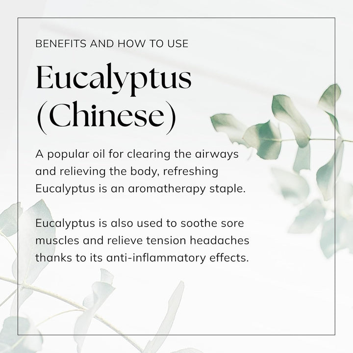 Eucalyptus Essential Oil - 10Ml | 100% Pure Natural Oils | Perfect for Diffuser, Shower, Bath | Great for Inhaling, Skin | Vegan & UK Made