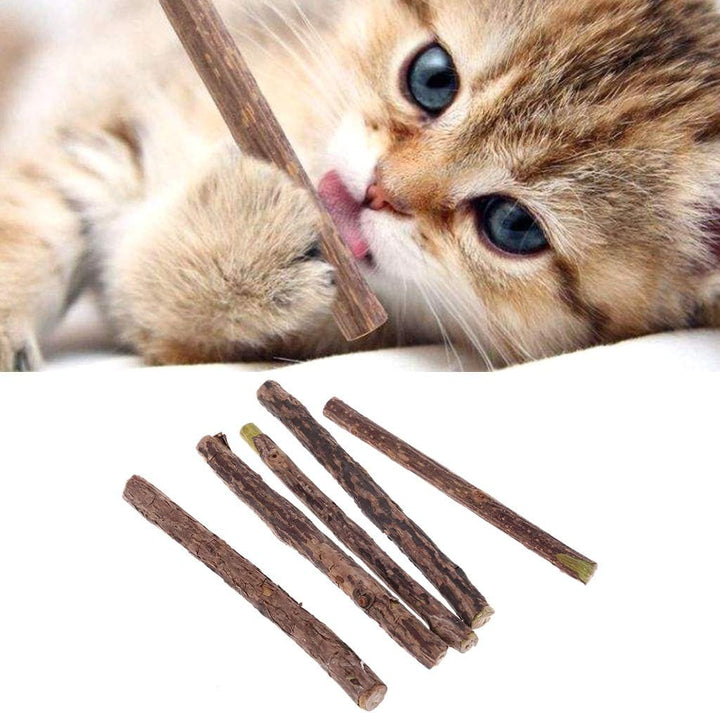 5 Pcs L Polygonum Stick for Cleaning Teeth Molar Ks Silvervine Chew Dental Care Polygonum Multiflorum