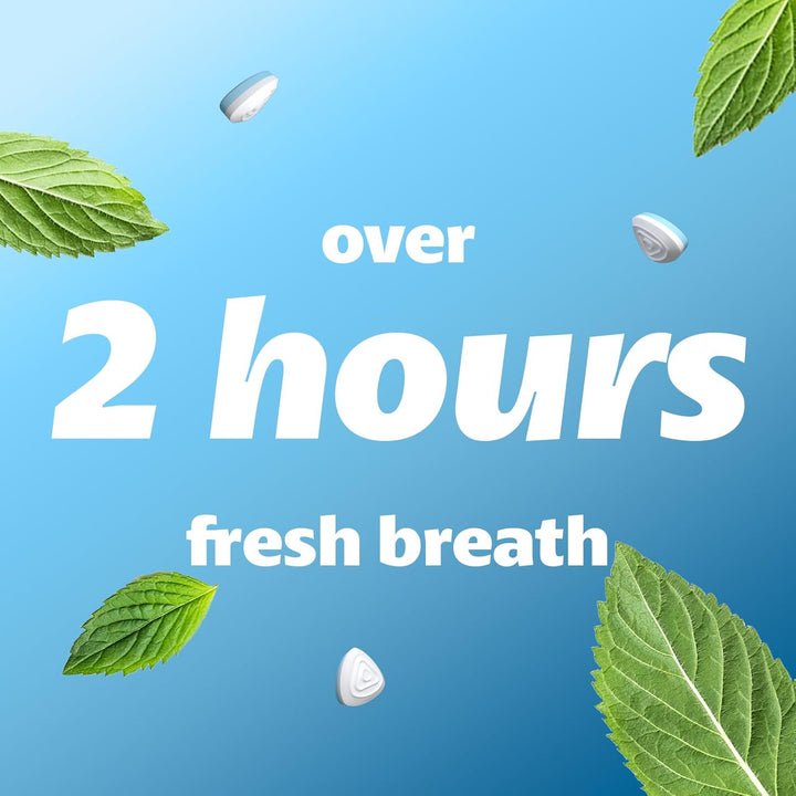Sugar Free Mints – 2 Hour Clean Breath, 50 XXL Peppermint Flavour - 12 Tins