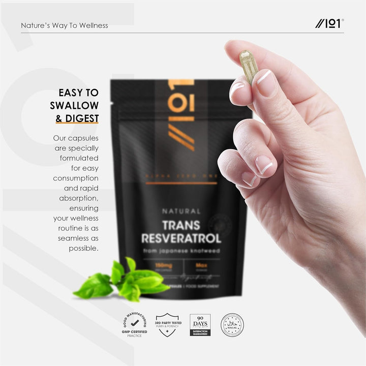 Natural Trans-Resveratrol Max Dosage - 90 Vegan Capsules - from 300Mg Japanese Knotweed 50:1 Extract - High Strength Polygonum Cuspidatum Supplement – 3 Months Supply - by