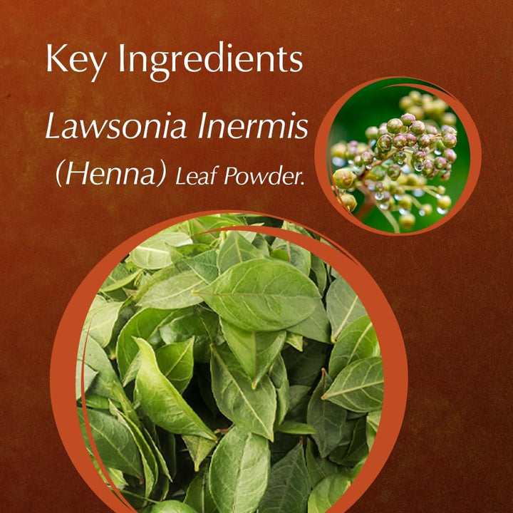 Pure Henna 100% (Mendhi), 200G | Natural Dark Red Hair Dye | Chemical-Free Colour | Dandruff Prevention | Hair Growth & Moisture Conditioning Powder