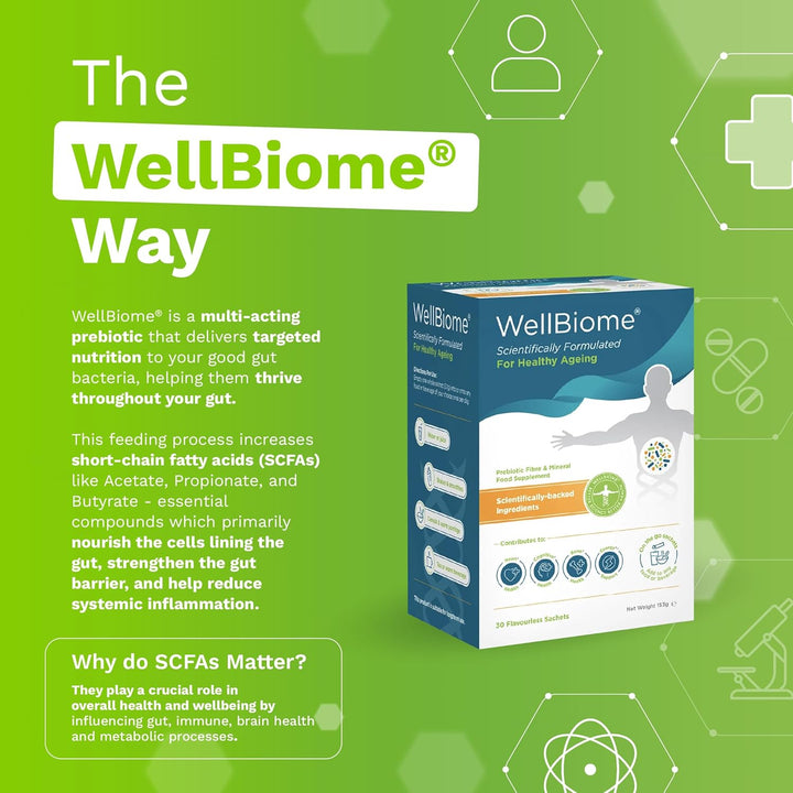 Prebiotic Fibre Complex for Gut Health by  – Probiotic Support, Digestive Wellness, Immune System Support – Magnesium for Anxiety, Mood & Energy – 30 Servings